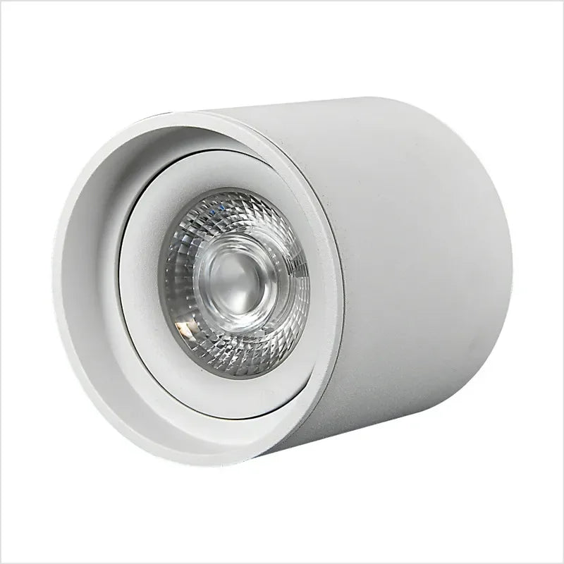 Led Downlight Dimmable 110V 220V LED Spotlight 24° Ceiling 7W 12W Lights Surface Mounted Lamp Bathroom Kitchen Indoor Lighting